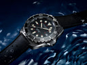 <p><em>JB300 NOIRE</em></p>